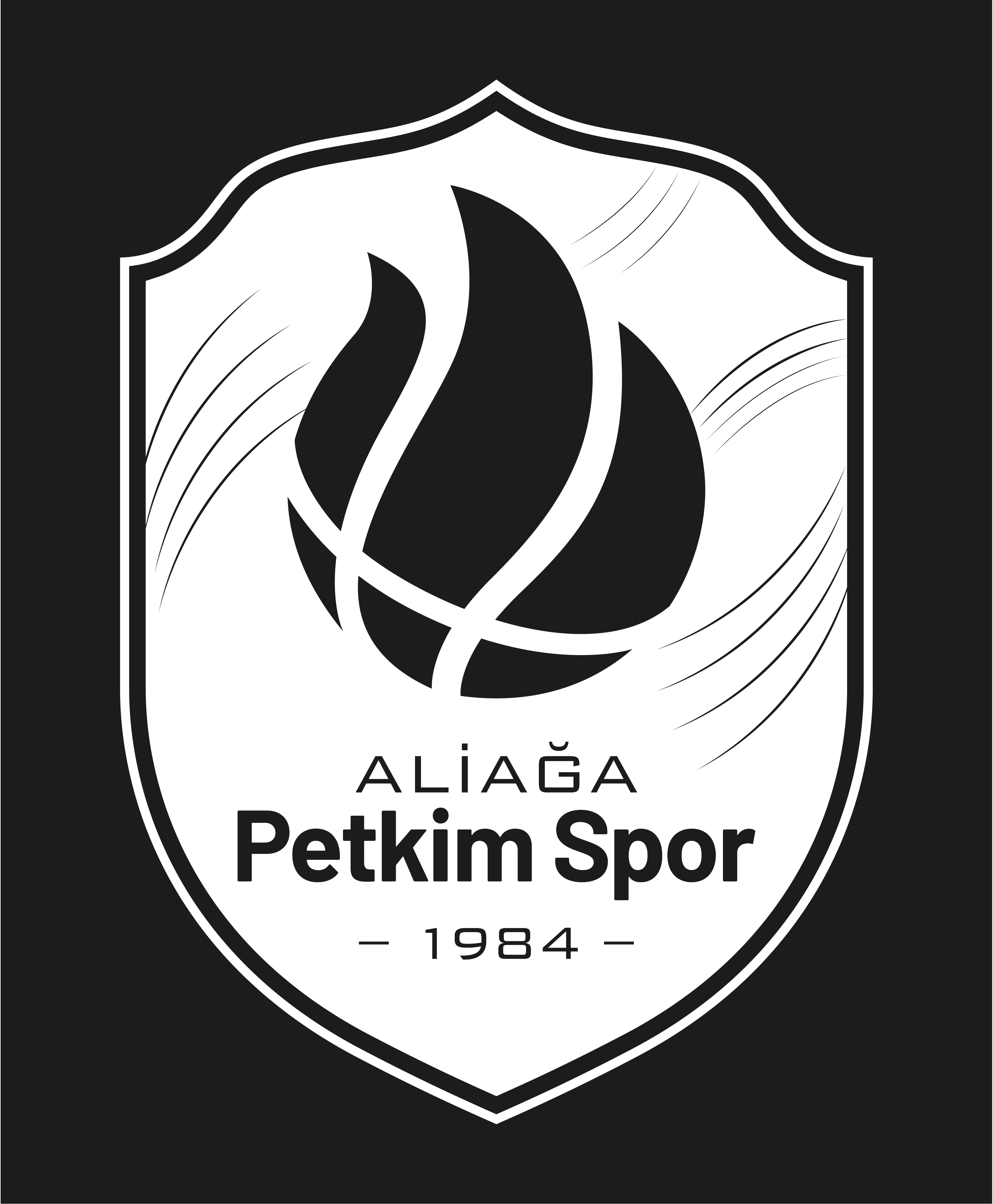 Petkim Spor